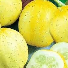 Lemon Cucumber Seeds - Heirloom, Non-GMO, Round & Sweet, Cucumis sativus, Perfect for Salads & Pickling, USDA Zones 2-10