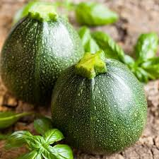 Summer Squash Round Zucchini Seeds 1g Non-GMO Cucurbita pepo High-Yield Edible Vegetable Compact Shape