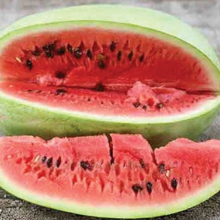Charleston Grey Watermelon Seeds - 20 Seeds, Sweet Juicy Variety, Citrullus lanatus, Classic Summer Fruit, Non-GMO