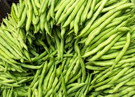 Provider Green Bush Bean Seeds 5g - Heirloom, Non-GMO, High-Yield, Fast-Growing Beans for Garden Beds & Containers - Phaseolus vulgaris