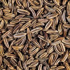 Caraway Seeds 1g | Heirloom Non-GMO Culinary Herb | Aromatic Spice | Carum carvi | Easy to Grow, Pollinator-Friendly