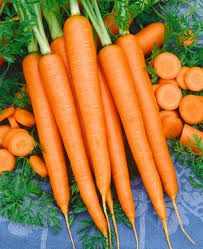 Carrot Seeds 500mg Tendersweet Non-GMO Heirloom Daucus carota | Sweet Crisp Orange Seeds for Gardens & Containers