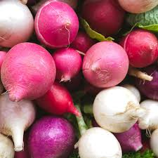 Easter Egg Radish Seeds - 200 Count - Colorful Blend, Crisp & Mild - Raphanus sativus - Quick-Growing for Garden & Containers
