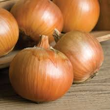Patterson Onion Seeds, 500+ Long-Day Storage Onion Seeds, Sweet & Mild Flavor, Allium cepa, USDA Zones 3-9