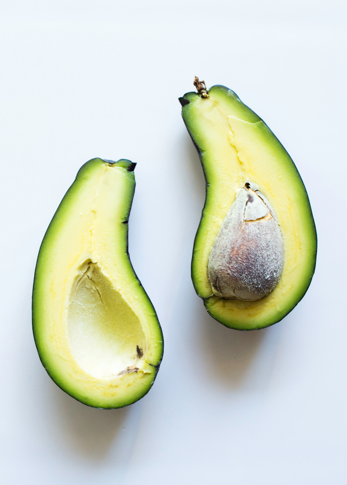 Cold-Hardy Avocado Plant - Mexicola - Edible Skin - Persea americana - Perfect for Small Yards and Containers