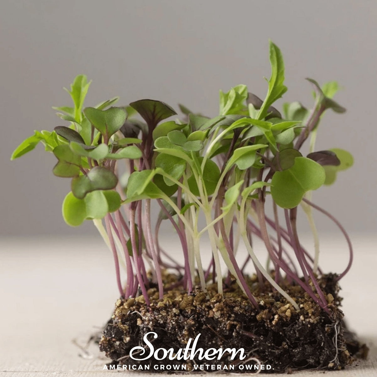 Southern Mild Microgreen Mix, 8g - Nutrient-Rich Greens for Salads & Smoothies, Ideal for Home Gardening