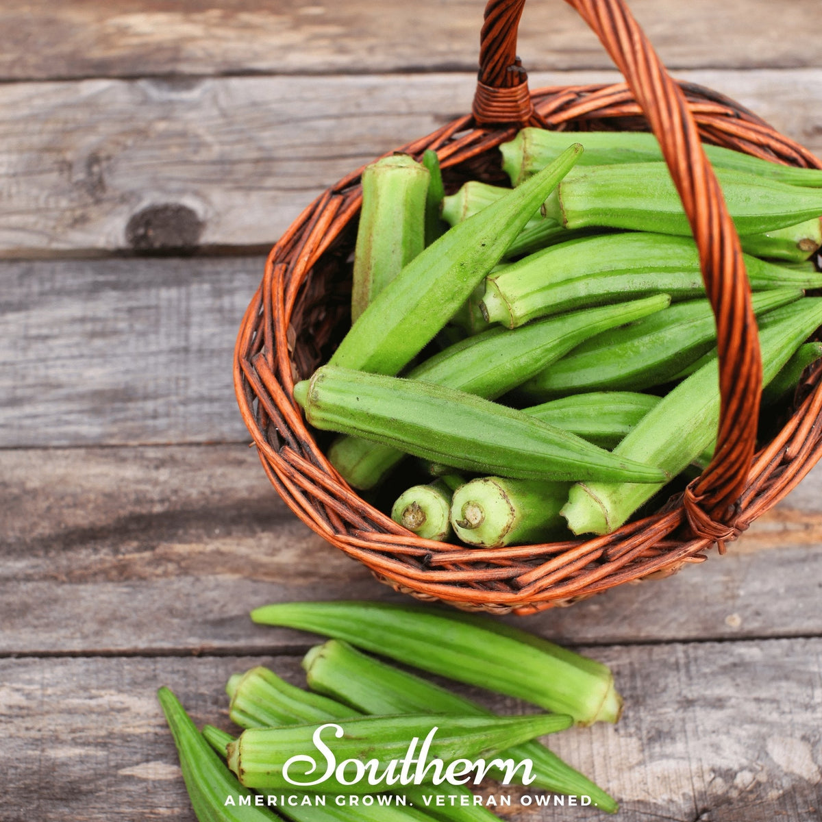 Clemson Spineless Okra Seeds - 50 Pack - Heirloom Vegetable Variety - Abelmoschus esculentus