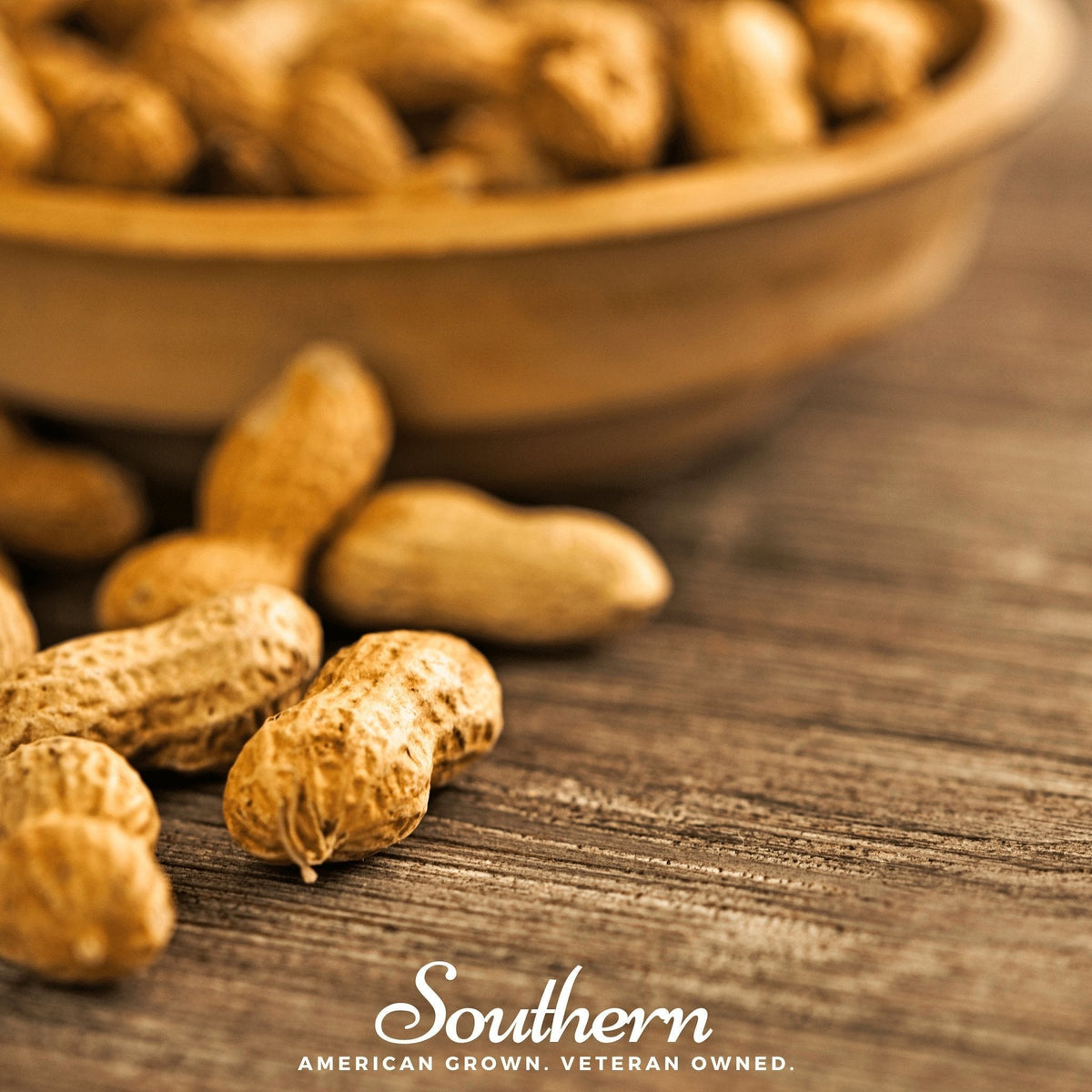 Virginia Jumbo Peanuts Seeds - 10 Count - Arachis hypogaea - Premium Quality for Planting