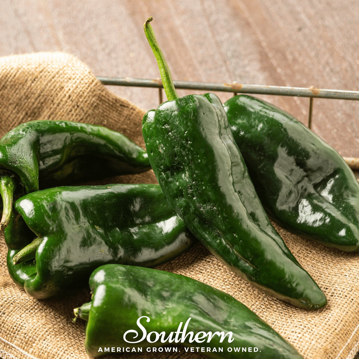 Poblano Ancho Grande Pepper Seeds - 25 Count - Heirloom Variety - Capsicum annuum