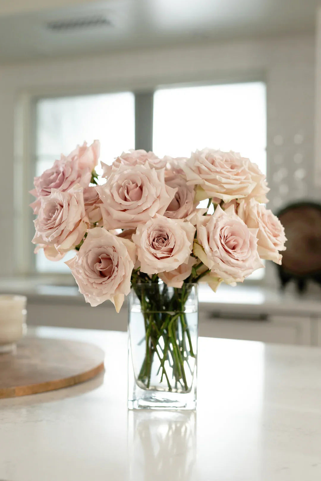 Unrooted Cuttings (3) - Quicksand Rose, Nude Beige Blooms - Rosa 'Quicksand' - Ideal for Grafting & Propagation