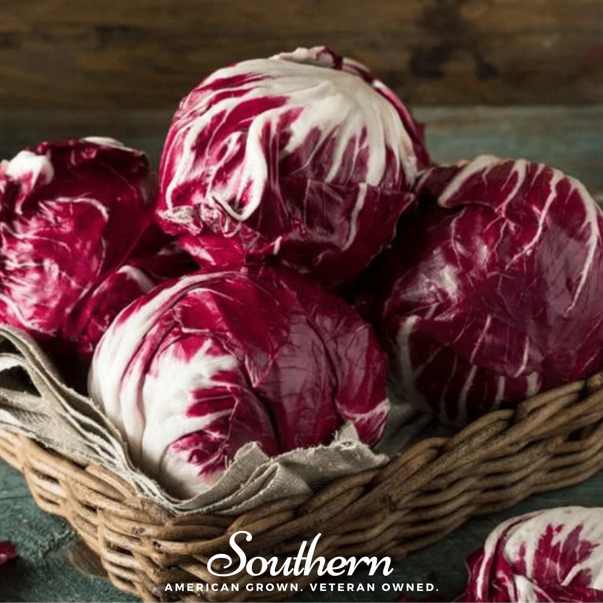 Palla Rossa Radicchio Seeds - 100 Count - Italian Leafy Vegetable - Cichorium intybus