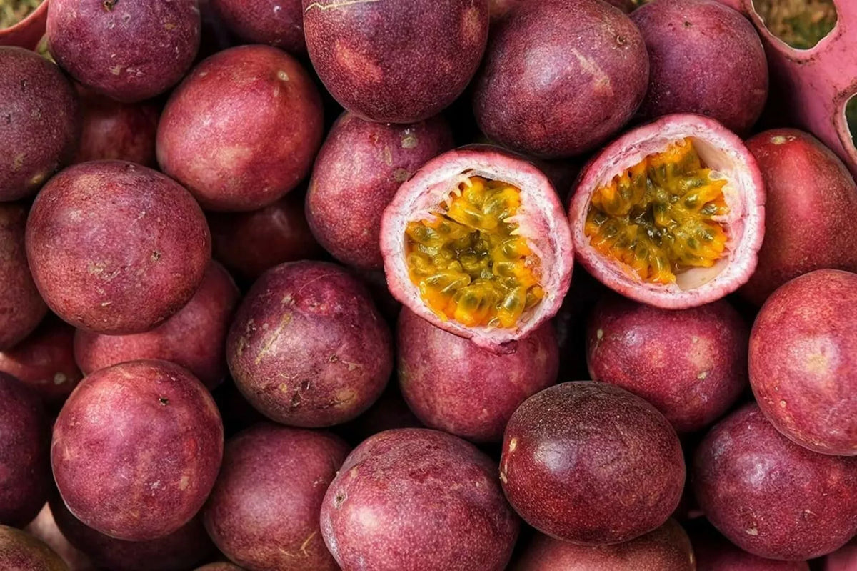 Passion Fruit Seeds - 50 Count - Healthy Variety - Passiflora edulis - Delicious Home Garden Fruit