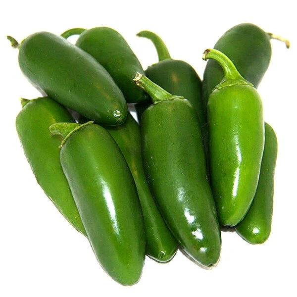 Early Jalapeno Pepper Seeds | Heirloom Non-GMO | Capsicum annuum | 50 Seeds for Garden & Containers