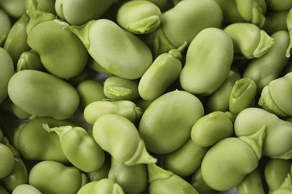 Heirloom Bean Mix Seeds Collection, Organic Non-GMO, 6 Varieties, Phaseolus vulgaris - Garden Seeds for Home Gardening