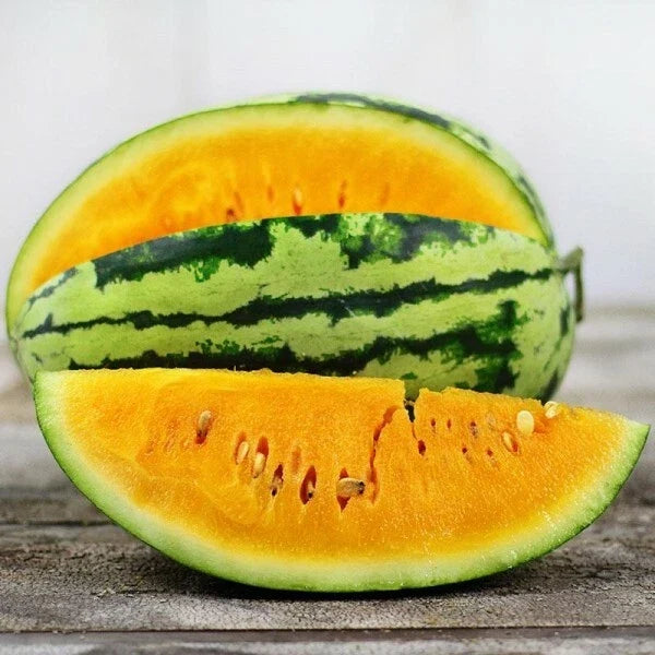 Orangeglo Watermelon Seeds | 25 Heirloom Non-GMO Organic Seeds | Citrullus lanatus | Sweet Orange Flesh Variety