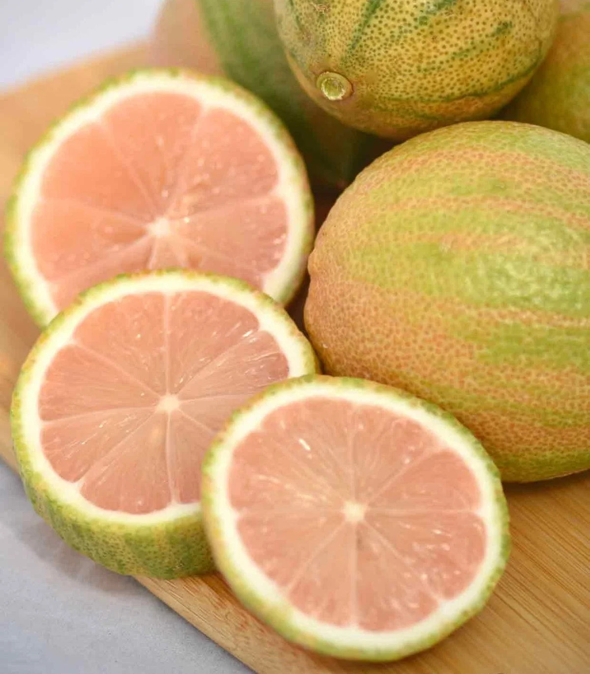 Pink Lemon Tree Plant - Fruiting Size - Pink Lemons - Citrus limon 'Pink Variegated' - Young Potted Tree for Garden or Patio