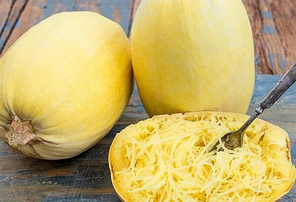 Spaghetti Squash Seeds - 5 Pack - Cucurbita pepo - Non-GMO Vegetable Seeds for Home Gardening - Easy to Grow