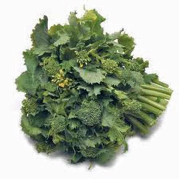 Broccoli Raab Seeds 500 Heirloom Non-GMO Rapini Brassica rapa var. ruvo - Nutrient-rich Greens for Home Gardeners