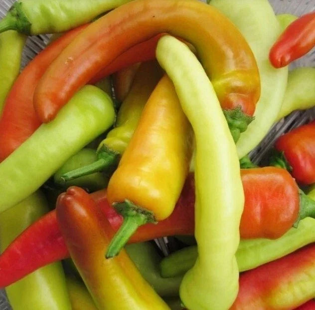 Hungarian Wax Hot Pepper Seeds - 200 Non-GMO Heirloom Capsicum annuum - Spicy Yellow Banana Peppers for Gardening