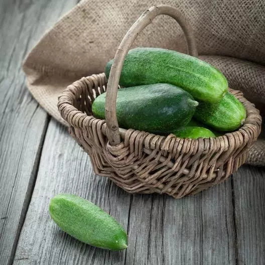 60 Non-GMO Spacemaster Cucumber Seeds | Cucumis sativus | Compact Vegetable Garden Seeds for Small Spaces