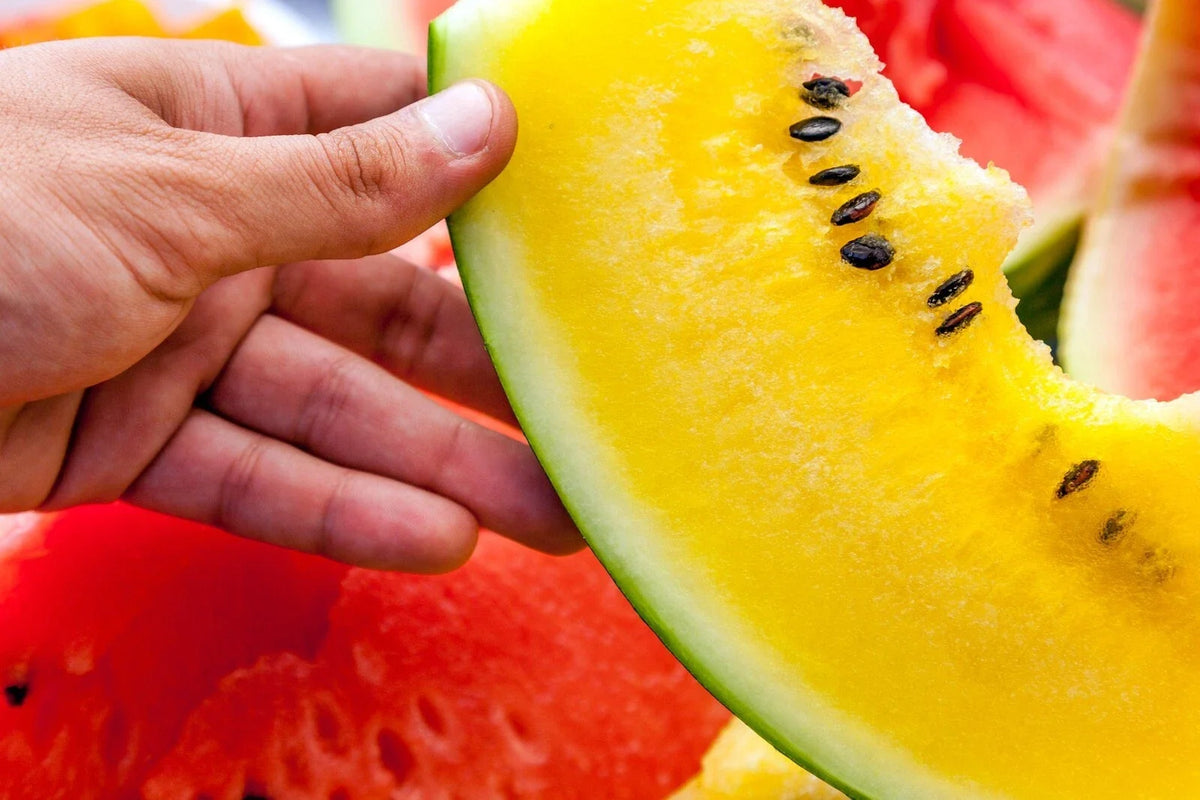 Moon and Stars Watermelon Seeds - 20+ Non-GMO Heirloom Yellow Flesh - Citrullus lanatus - Unique Starry Rind