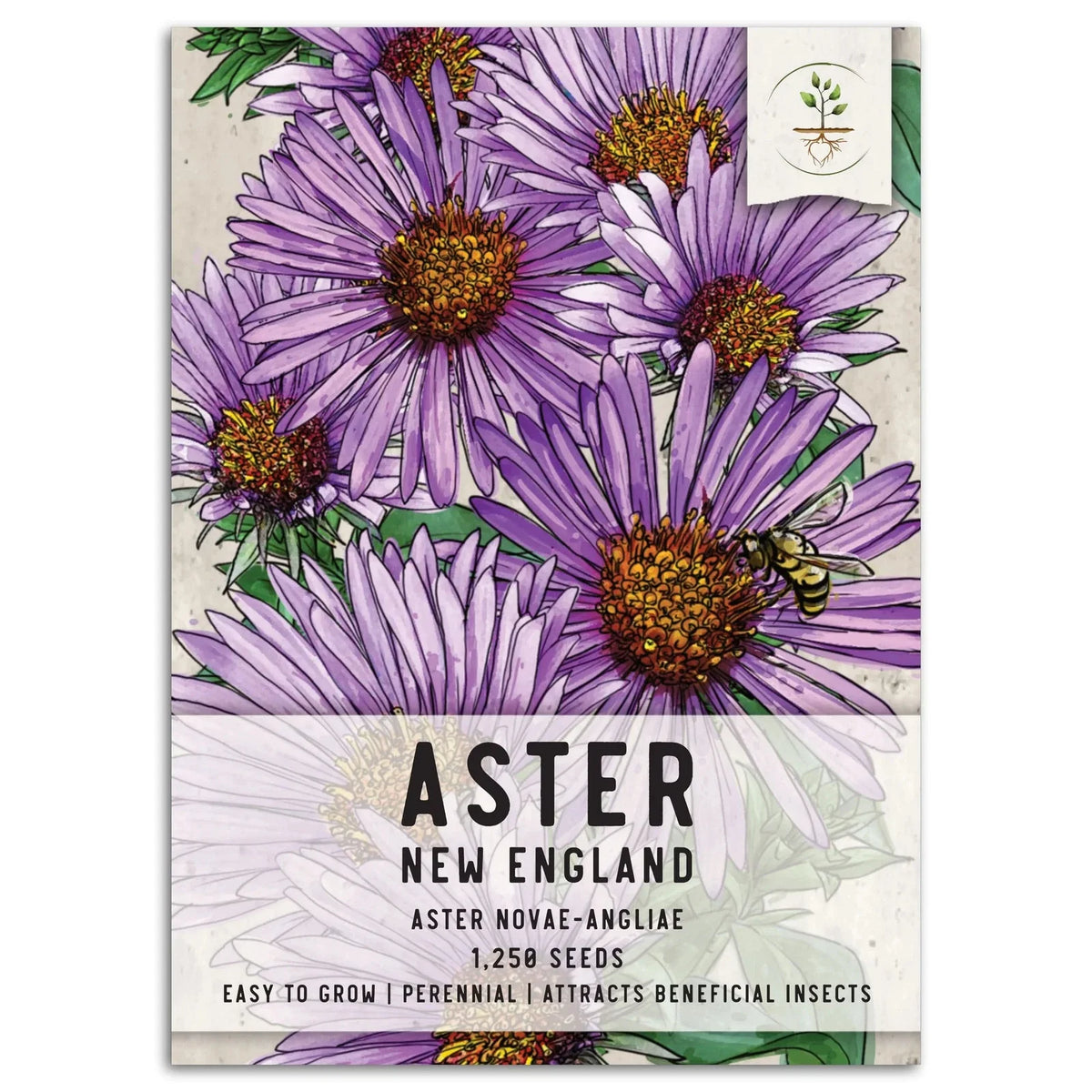 New England Aster Seeds - Purple Blooms - Aster novae-angliae - 100 Non-GMO Seeds for Planting, Attracts Pollinators