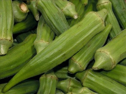Jade Okra Seeds - Non-GMO Heirloom Variety - Abelmoschus esculentus - Organic Gardening Seeds for Home Garden - 50 Seeds