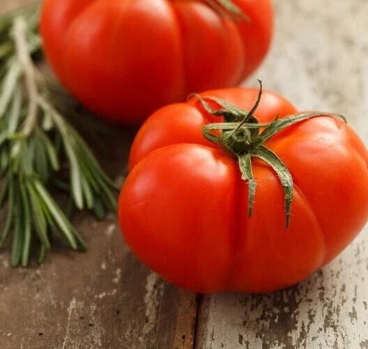 Heirloom Beefsteak Tomato Seeds - 25 Premium Non-GMO Seeds (Solanum lycopersicum) - Juicy Red Tomatoes for Home Gardening