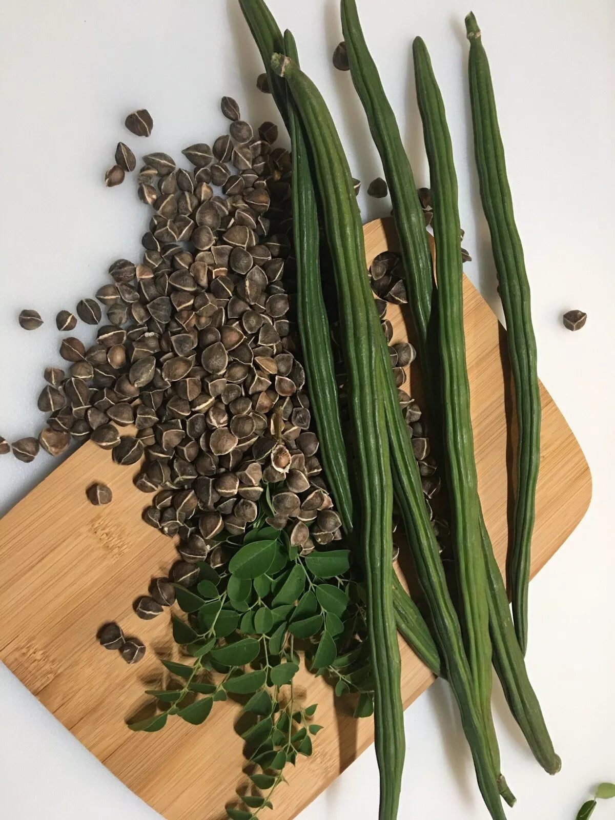 Organic Moringa Oleifera Seeds - 100 Non-GMO Drumstick Malunggay Seeds - Nutrient-Rich Culinary Herb for Home Gardens