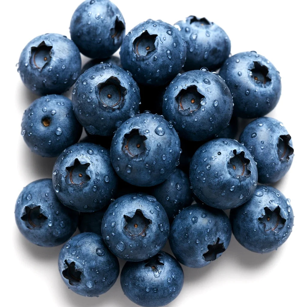 European Blueberry Seeds - 200 Bilberry Autumn Low Bush - Vaccinium myrtillus - Rare Sweet Variety for Home Gardening