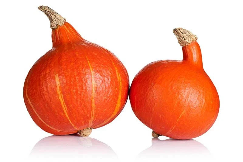 Ambercup Squash Seeds 25 Pack - Heirloom Cucurbita maxima - Non-GMO Vegetable for Home Gardening - Orange with Green Stripes