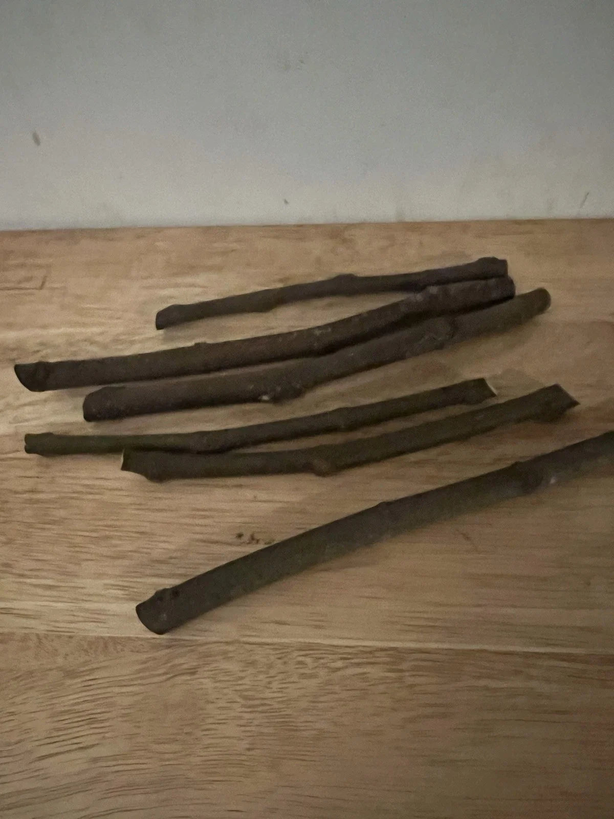 LSU Purple Fig Cuttings (6) - Fresh Hardwood Cuttings for Propagation - Ficus carica - Sweet Purple Figs for Home Gardening