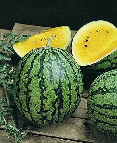 Watermelon Seeds - 20 Pack - Yellow Gem Sweet Variety - Citrullus lanatus - Non-GMO, Heirloom