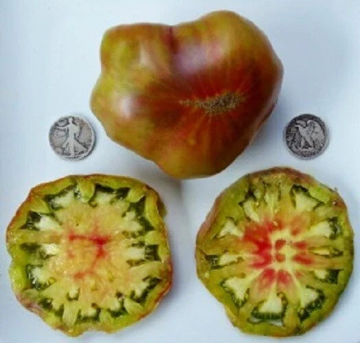 Ananas Noir Seeds - 25 Pack - Unique Dark Pineapple Variety - Ananas comosus - Tropical Fruit for Indoor/Outdoor Gardening
