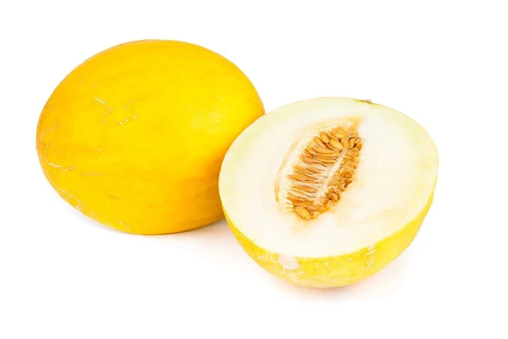Canary Yellow Melon Seeds - 30 Non-GMO Heirloom Seeds for Planting (Cucumis melo) - USA Grown, Ships from Iowa