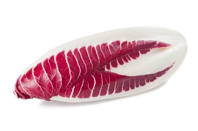 Endive Seeds 2000 Count Red Treviso Non-GMO Heirloom Cichorium endivia for Home Gardening & Culinary Use