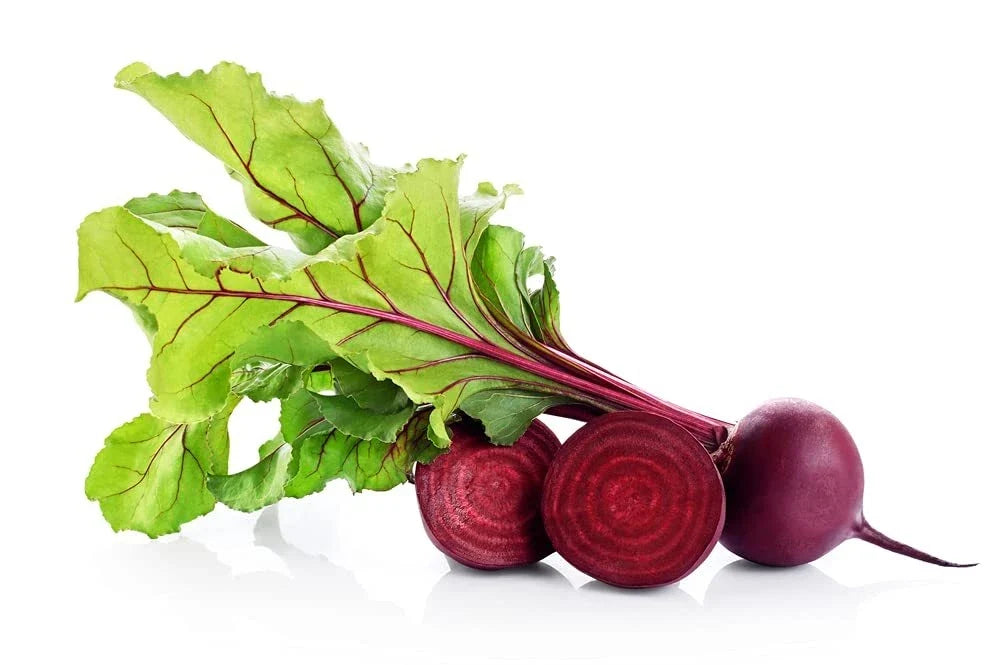 Red Beet Seeds - 250+ Heirloom Seeds - Beta vulgaris - Organic Garden Planting - Made in USA, Ships from Iowa