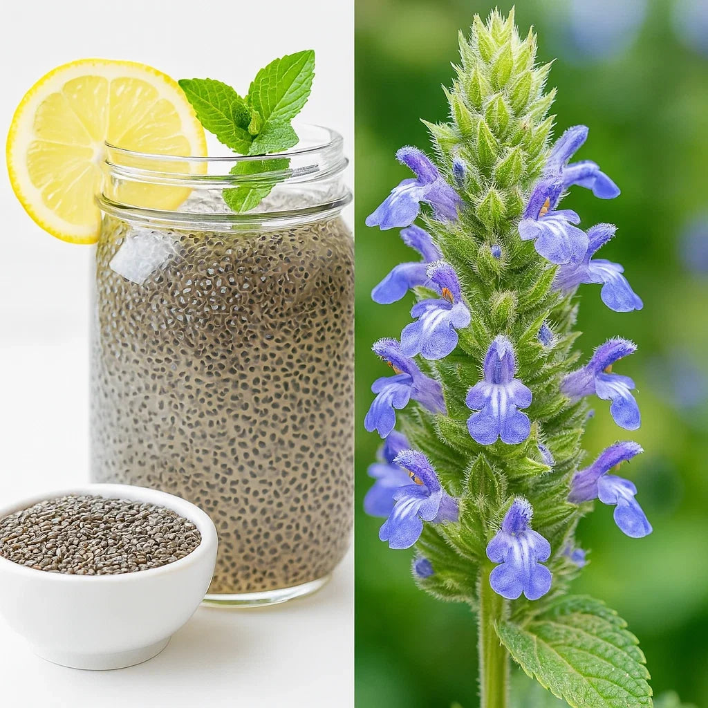 Organic Chia Seeds 2,000+ Count for Microgreens - Salvia Hispanica, Non-GMO, Easy to Grow, Free Shipping