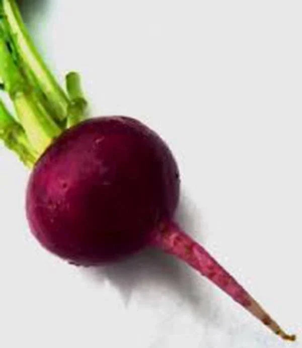Heirloom Beet Seeds - Early Wonder - Non-GMO - 25+ Seeds - Beta vulgaris - Sweet and Earthy Flavor for Home Gardening