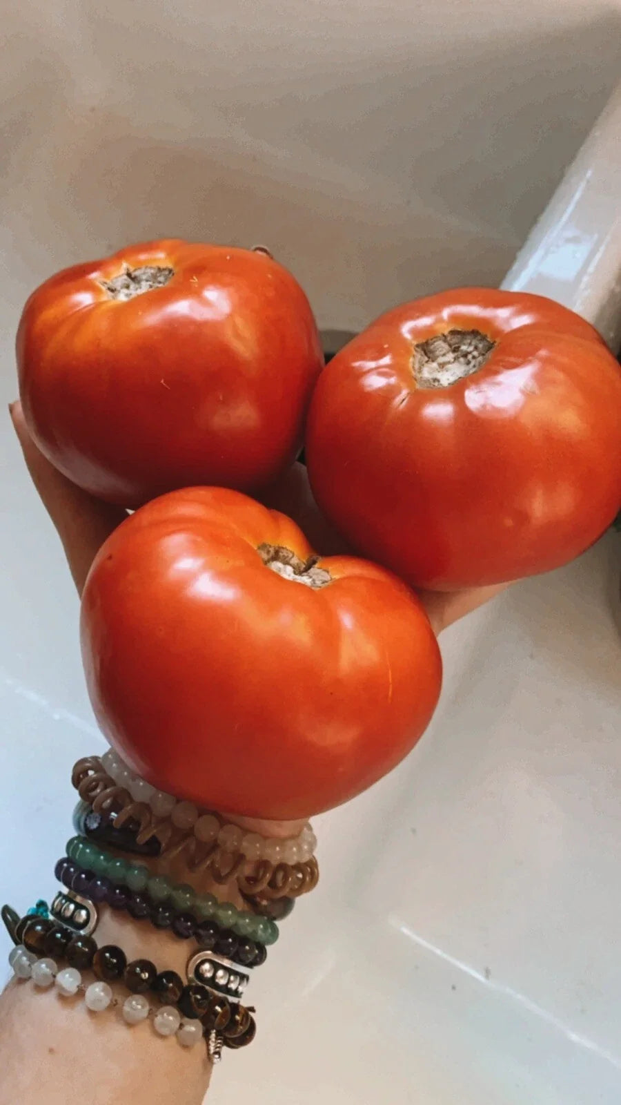 Large Beefsteak Tomato Seeds - 25 Non-GMO Organic Seeds - Solanum lycopersicum - Homegrown Garden Variety