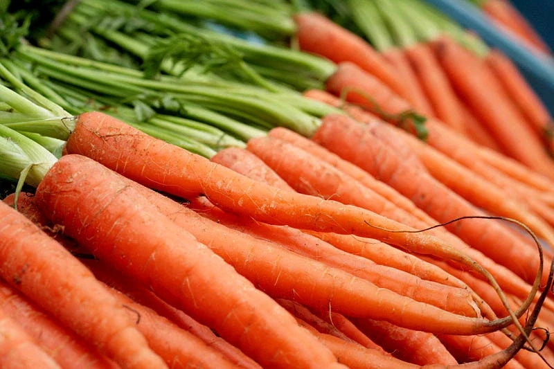 Nantes Scarlet Carrot Seeds - 775 Seeds - Daucus carota - Non-GMO, Sweet Flavor for Garden or Container Planting