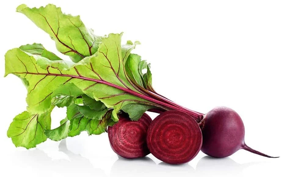 Red Beet Seeds - 250 Count - Non-GMO Heirloom - Beta vulgaris - USA Made, Ships from Iowa