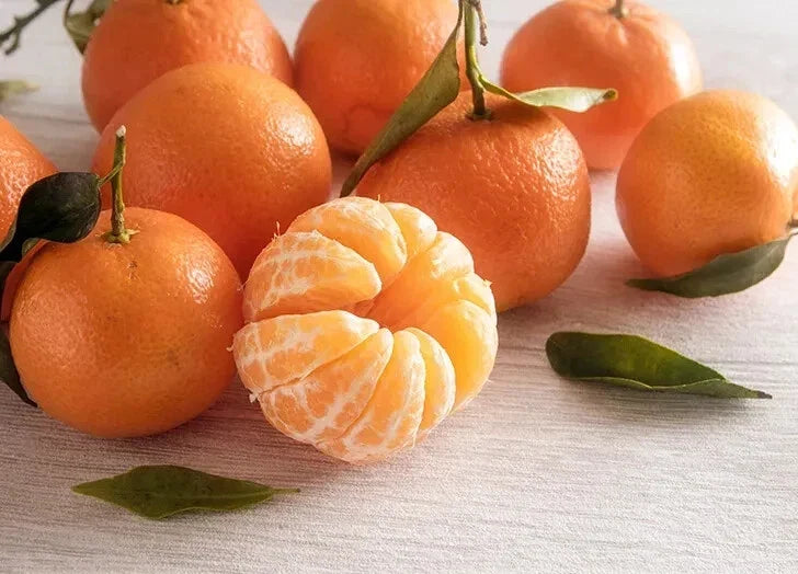 Clementine Orange Seeds - 5+ Pack for Garden Planting - Citrus reticulata - Easy to Grow, Fast Shipping USA