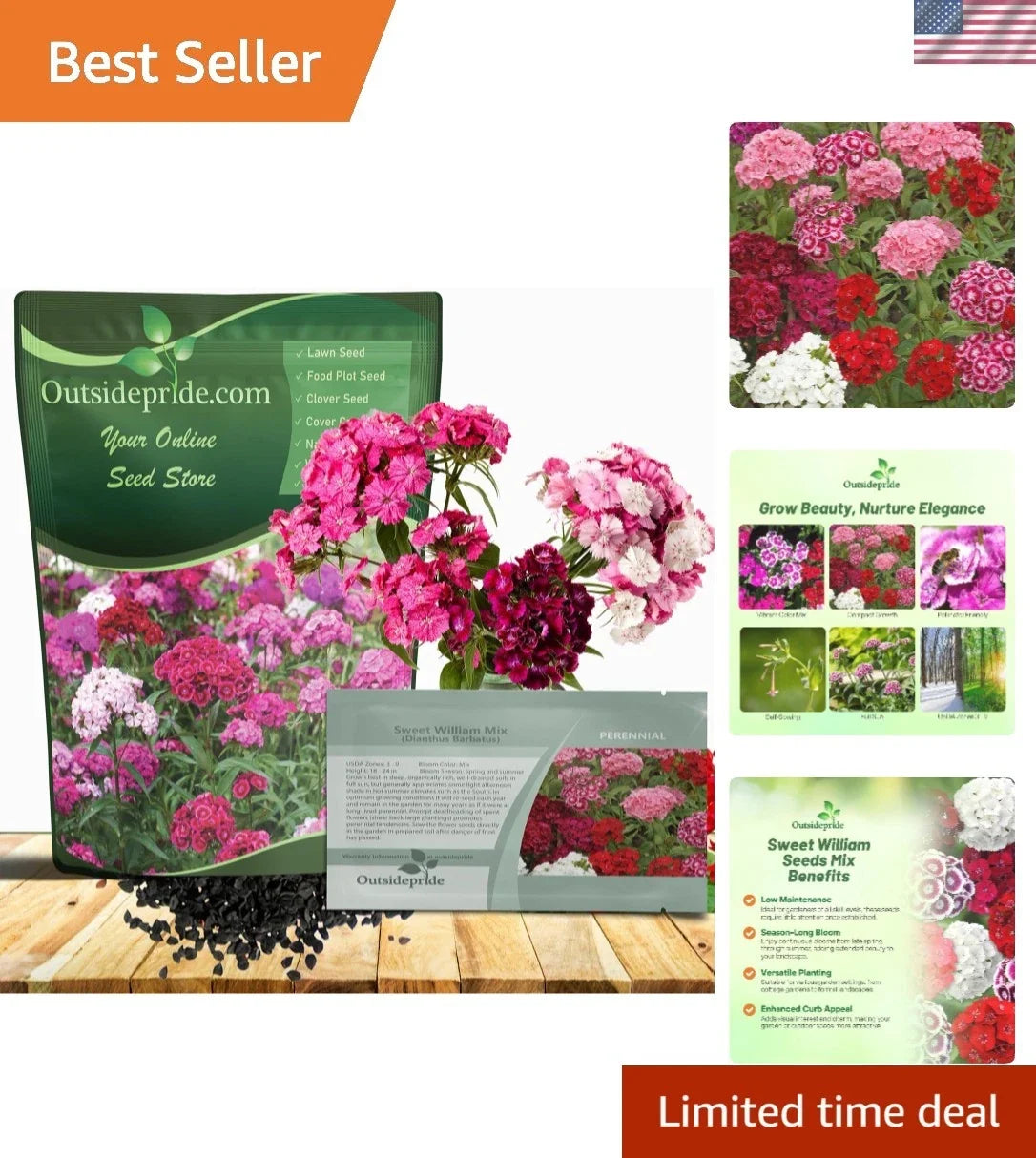 Perennial Sweet William Seeds 1/4 lb - Vibrant Blooms for Pollinator Gardens - Dianthus barbatus