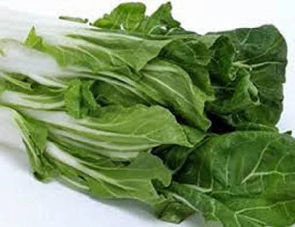 Swiss Chard Seeds, 500 Count, Large White Ribbed Heirloom, Non-GMO, Beta vulgaris subsp. cicla, Nutritious Greens for Garden