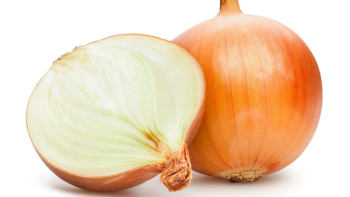 Organic Sweet Spanish Onion Seeds - 50 Heirloom Non-GMO Seeds for Garden - Allium cepa - Easy to Grow Culinary Onions