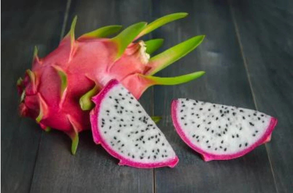 White Dragon Fruit Seeds - 50+ Hylocereus Undatus - Non-GMO Cactus Pitaya Seeds for Home Gardening & Container Planting