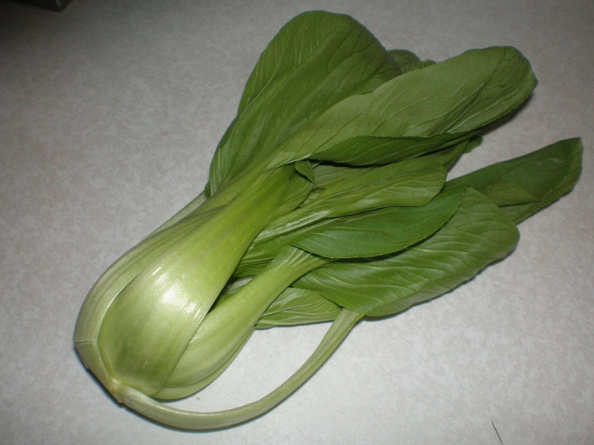 Cabbage Pak Choi Seeds 2000 Count Taisai Variety Brassica rapa Chinensis - High Germination Rate for Garden & Culinary Use