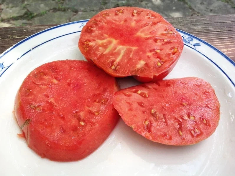 German Johnson Tomato Seeds - 120+ Organic Non-GMO Heirloom - Solanum lycopersicum - Ideal for Home Gardening