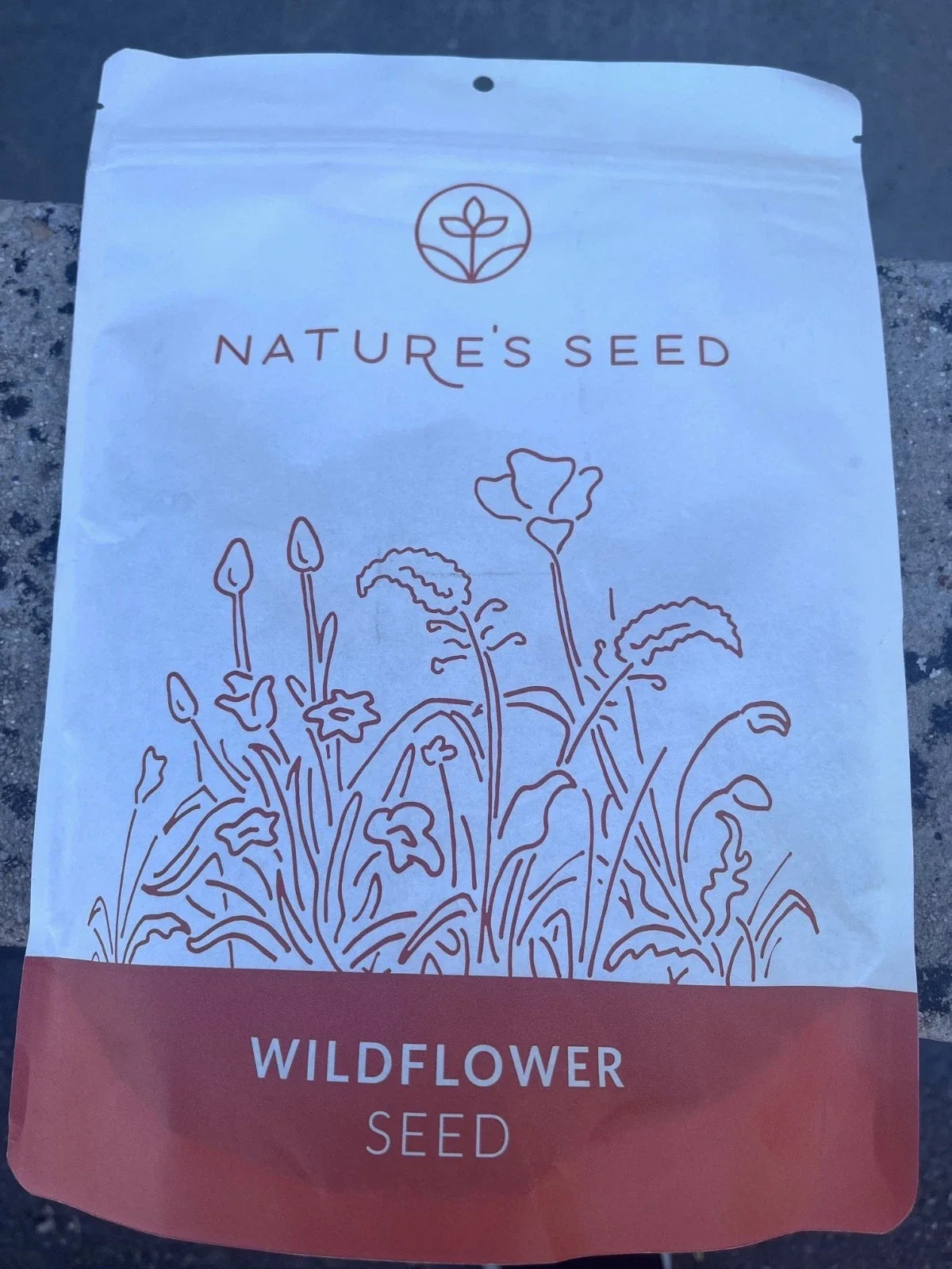 Northeast Wildflower Seeds 0.5 lbs - Native Pollinator Mix - Non-GMO Wildflowers for Gardens and Landscapes - Various Species